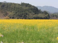 -上坦村