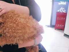 -申普宠物医院·眼科·心内科·影像科(普陀分院)