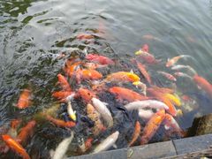 -珠海圆明新园