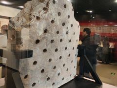 -南越王博物院(王宫展区)