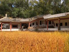 -红山国家森林公园