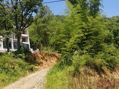 -将军关探险漂流