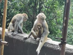 -黔灵山公园