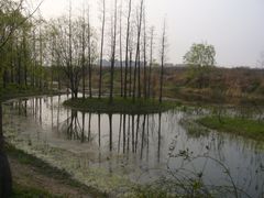 -新江湾城公园