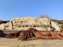 -北京西山国家森林公园