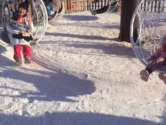 -绿野森林乐园冰雪季
