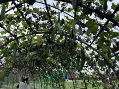 -中国天府农业博览园