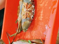 -海龙珠海鲜餐厅