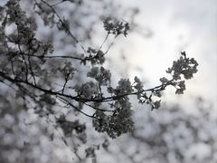 -西北湖绿化广场