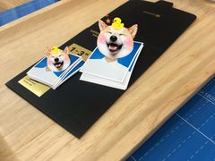 -海马体照相馆|大师(武汉光谷K11店)