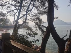 -黄山太平湖风景区