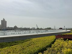 -星海广场