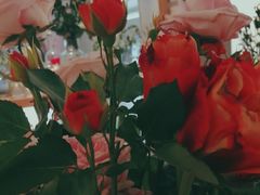 -谷莠子花艺·气球派对·绿植造景·花艺沙龙(金光华广场店)