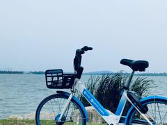 -东湖生态旅游风景区