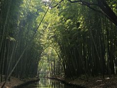-同里国家湿地公园