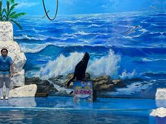 -左海海底世界