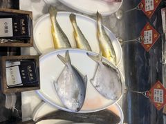 -渔民船说·北塘海鲜·天津菜·海肠捞饭(北塘古镇店)