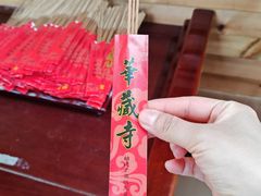 -亭林园-华藏寺