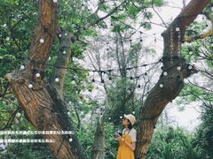 -那琴半岛地质海洋公园