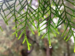 -北平小馆·烤鸭·家常菜(磨房北里店)