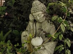 -深夜食堂(永康南路店)