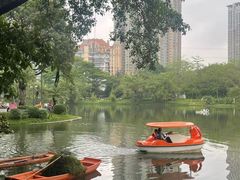 -晓港公园