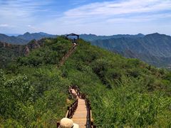 -大岭沟猕猴桃谷风景区