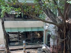 -麒麟中餐厅·经典粤菜·地道菜式老字号(广州长隆酒店)