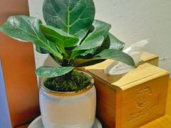 -丹江渔村(望京店)