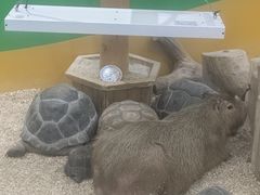 -齐齐哈尔龙沙动植物园