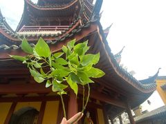 -清心素食自助餐厅(夫子庙店)