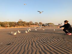 -老虎石海上公园