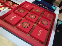 -中央广播电视总台(光华路办公区)