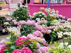 -上海长风大悦城