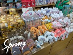 -九木杂物社(恒隆广场店)