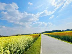 -中国天府农业博览园