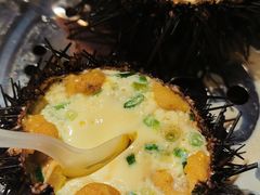 大嘴黑海胆（只）-苏大嘴海鲜牧场(奥林匹克店)