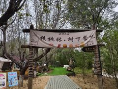 -北京张裕爱斐堡酒庄