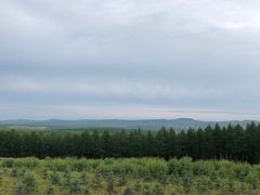 -塞罕坝国家级自然保护区