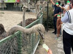 -新疆天山野生动物园