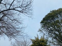 -扬州瘦西湖船宴