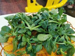 田七叶-一煲鸽