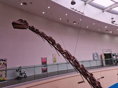 -陕西自然博物馆