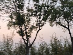 -阳澄湖半岛旅游度假区