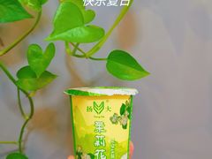 茉莉花酸奶-扬大康源乳业鲜奶吧(大学北路店)