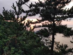 -南紀白浜 浜千鳥の湯 海舟