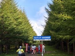-空中草原