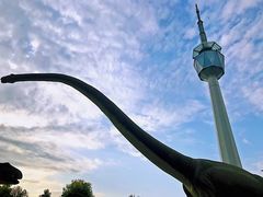 -陕西自然博物馆