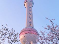 -东方明珠广播电视塔