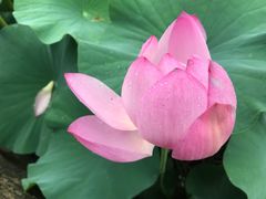 -东坡赤壁风景名胜区